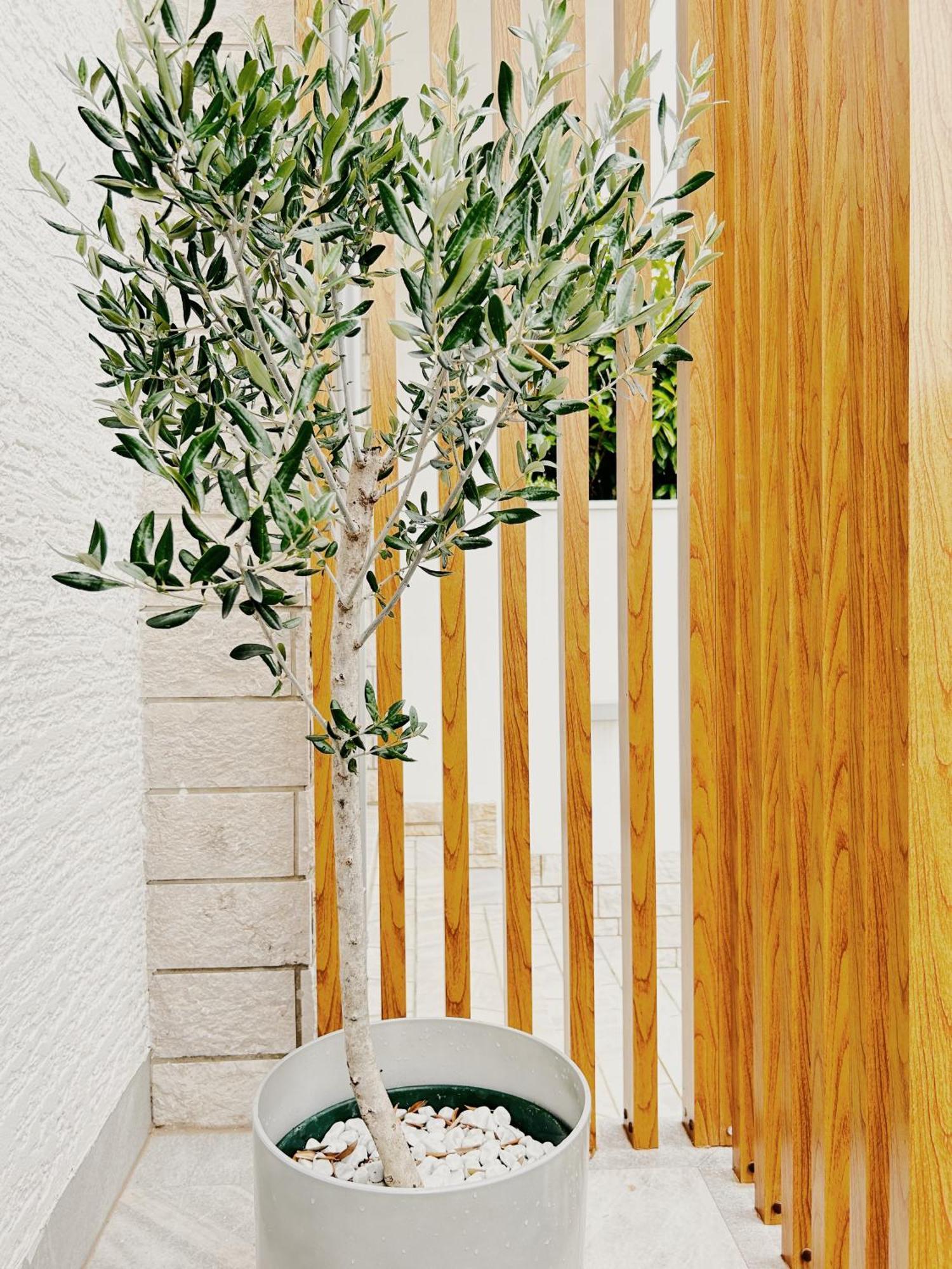 Sunny House Apartment Zambratija  Luaran gambar